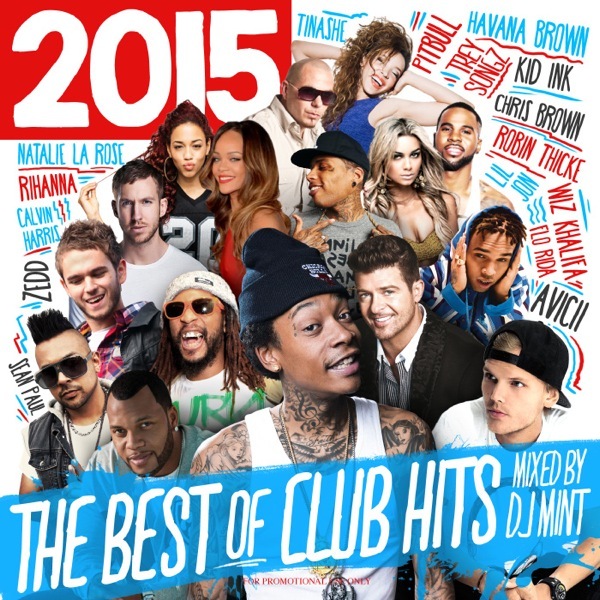 HIPHOP R&B レゲエ　クラブミュージック　DVD MIX 2015年クラブヒッツ集大成MIX！！】DJ Mint / THE BEST OF CLUB