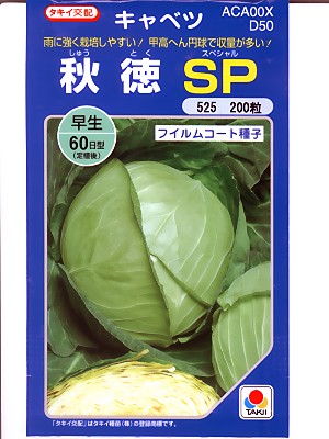 キャベツ タキイ交配 秋徳SP タキイ種苗のキャベツです。 | GREEN DEPO 