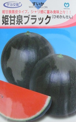 小玉西瓜種 宇治交配 姫甘泉ブラックスイカ 丸種株式会社の黒皮の小玉 