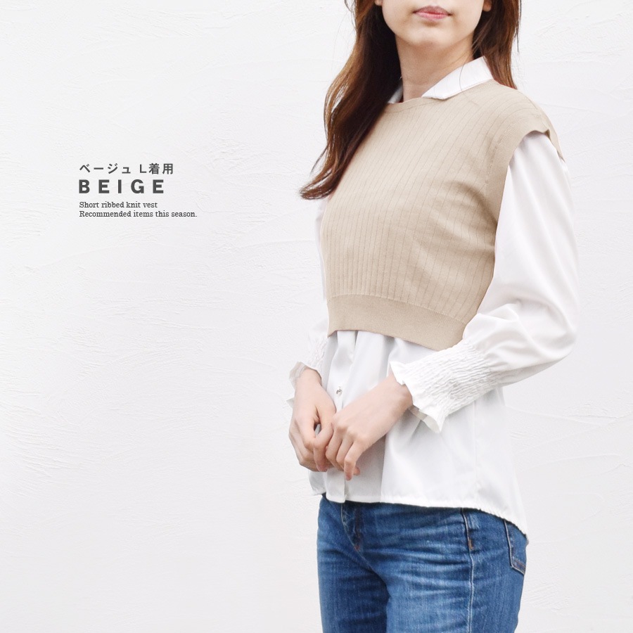美品 FOXEY クルーネック ノースリーブ ニット セーター ベスト FOXEY - 美品 FOXEY クルーネック ノースリーブ ニット セーター