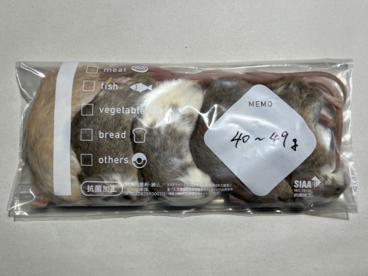 冷凍ヤワゲネズミ