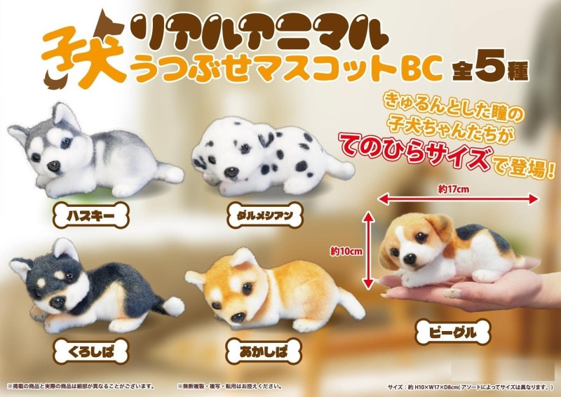 アニマル マスコット 4点　セット 昭和　品 スーパーキャット アニマルフェイス ぶたさん（4973640091263