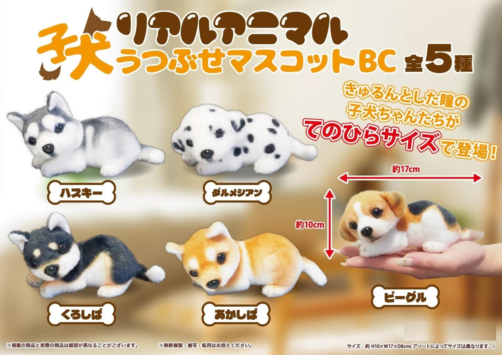 動物 000000019727_nSupBL9.jpg