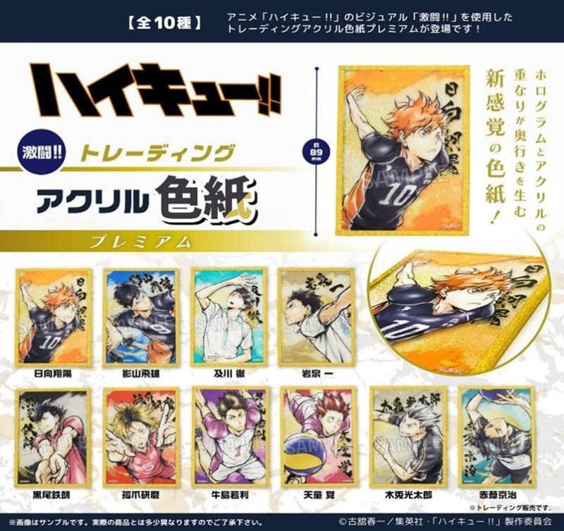 未開封　ハイキュー　大色紙 ハイキューアニメ10周年 新品未開封 色紙コレクションB 全10種