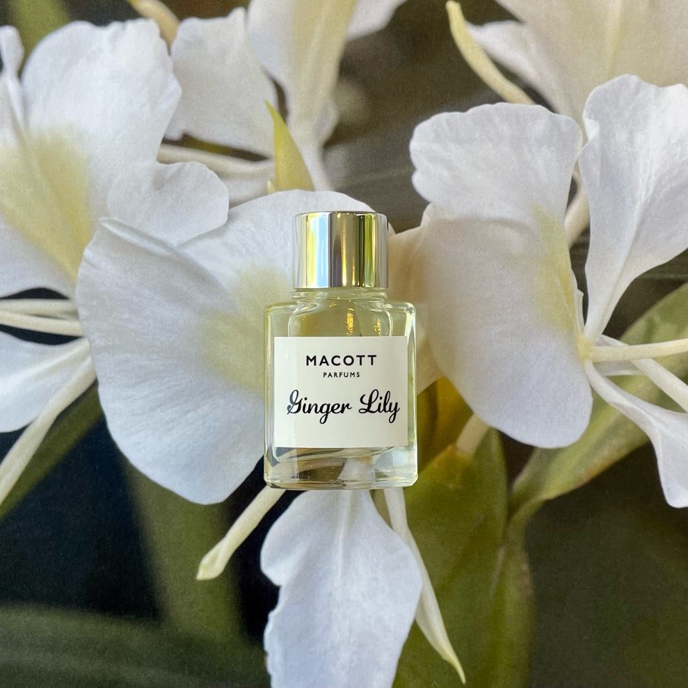 MACOTT 限定熟成香水 /ホワイトローズ'25 （パルファム）5mL MACOTT 限定熟成香水 /ホワイトローズ'25 （パルファム）5mL