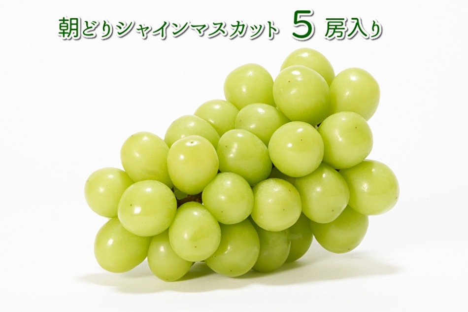 シャインマスカット【送料無料】山梨から最高級ぶどうシャイン  
