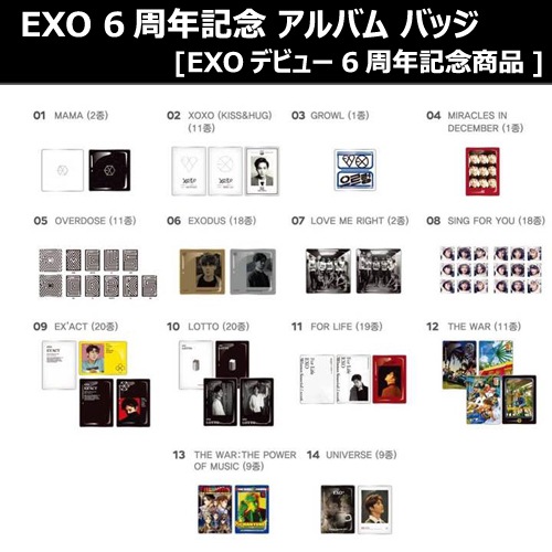 EXO レイ　バッジ EXO 6周年記念 アルバム バッジ EXOデビュー6周年記念商品 「SUM」