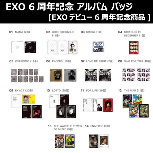 EXO 6周年記念 アルバム バッジ EXOデビュー6周年記念商品 「SUM」