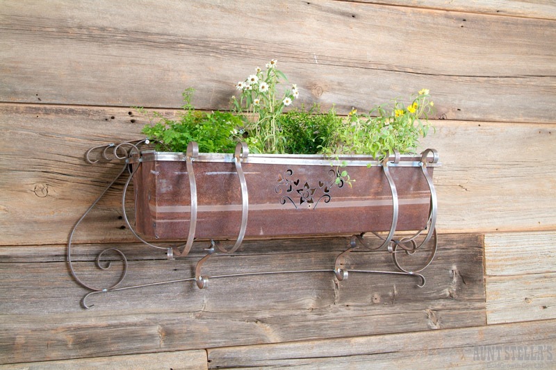 アントステラ　プランター アントステラプランター