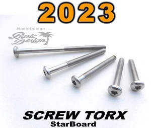 2023 タトルボックスフィン用 トルクスネジ SCREW JB TORX（new