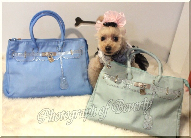 New だまし絵バーキン風バック Lサイズ