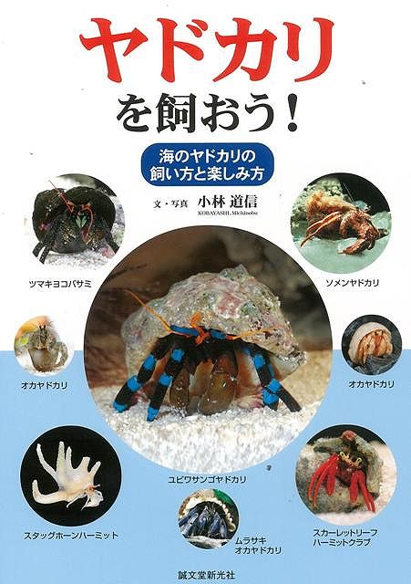 ヤドカリを飼おう！ 世界のヤドカリの仲間