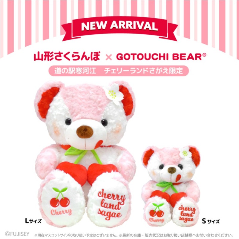 さくらんぼ　BHY 北海道産 佐藤錦 800g (200g×4パック) バラ 秀品 Lサイズ以上 朝
