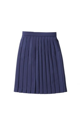 冬 制服 プリーツスカート 丈50cm 学校標準服 W100cmまでの通販