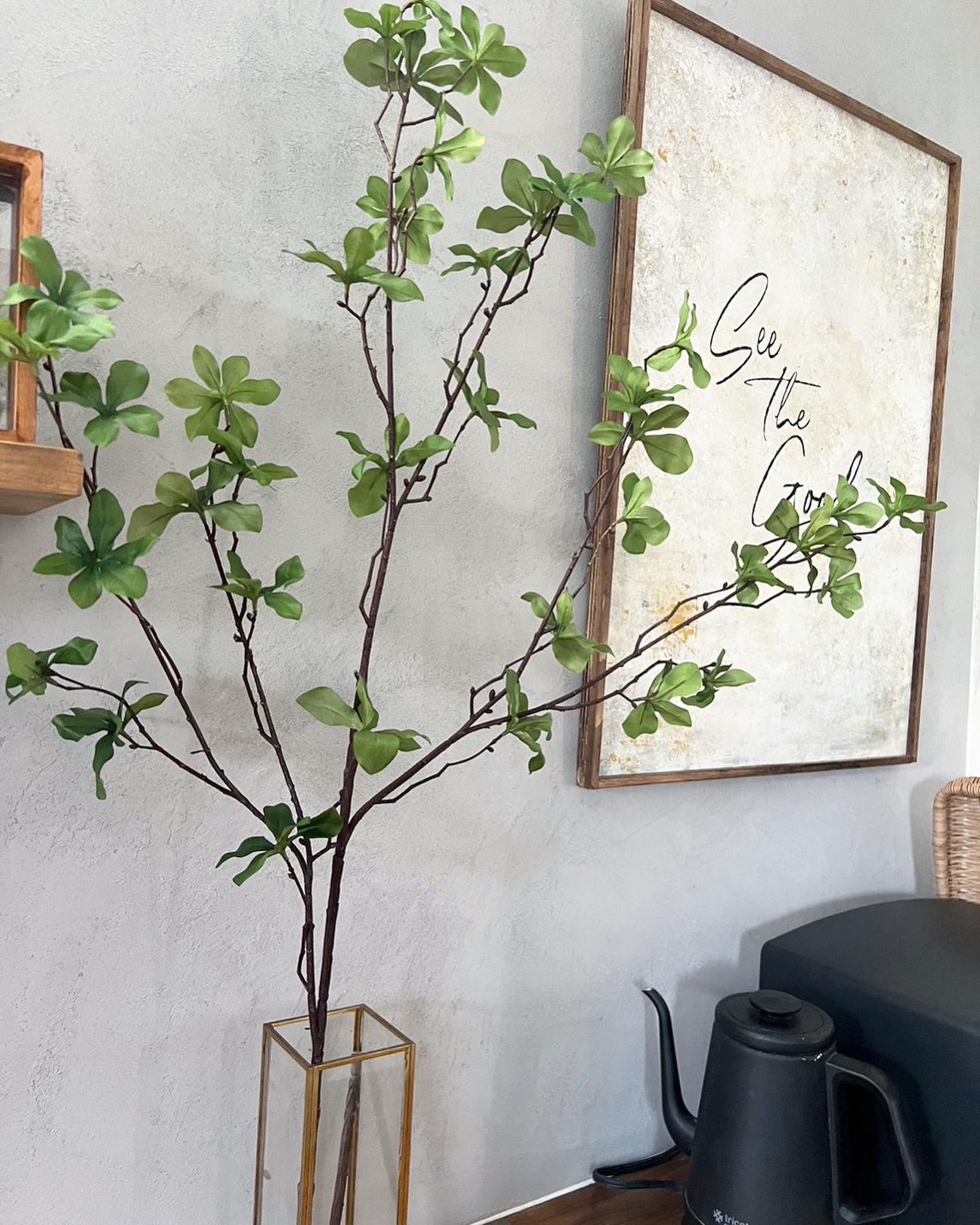 容姿淡麗。。特大天然ドウダンツツジ。 ドウダンツツジLL|おしゃれなフェイクグリーン・人工観葉植物