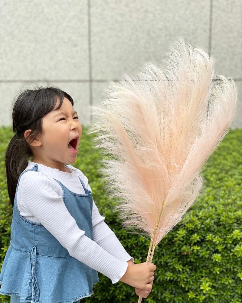 Fluffy　パンパスグラス Amazon | 10 ps天然パンパスグラス48インチ（70 cm）ふわふわ
