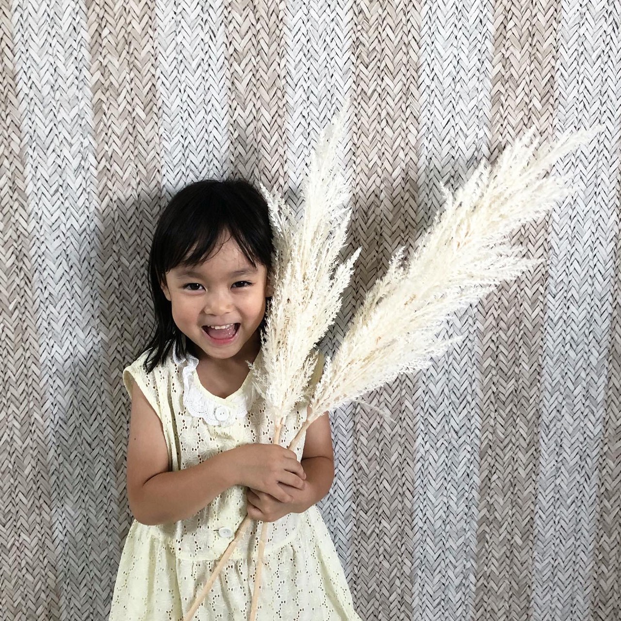 errer 白い小さな花束 パンパスグラス 標本 ハーバリュウム 植物標本