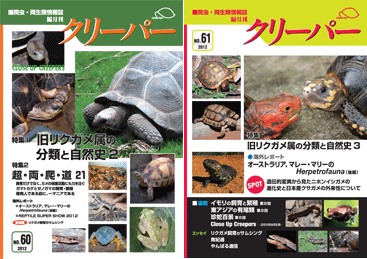 爬虫類両生類情報誌 クリーパー 7号 クリーパー最新No.42発売
