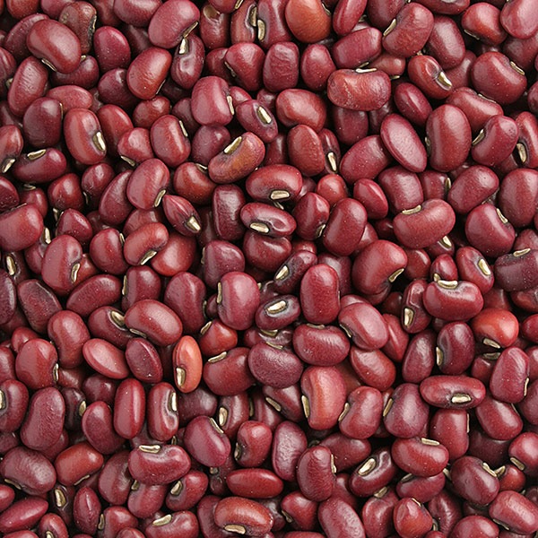千葉産ササゲ トゲトゲし 千葉産新鮮ササゲ10kg