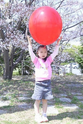 風船 1000丸風船 赤、オレンジ,ピンク,水色,黄 各1個 （5個入） ゴム風船