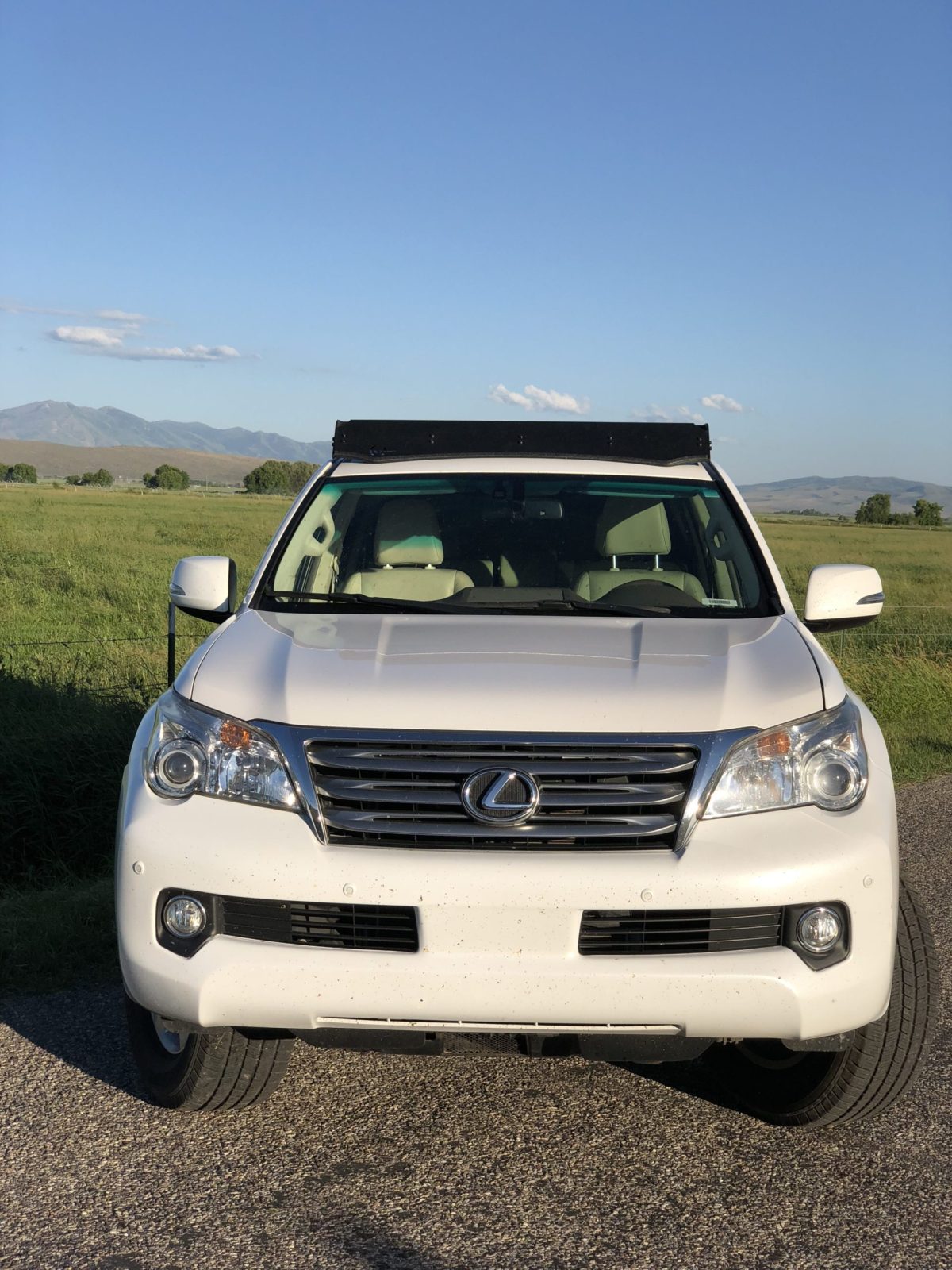 オーダーシステム！）2010-2022 LEXUS GX460 150プラド Prinsu Design 