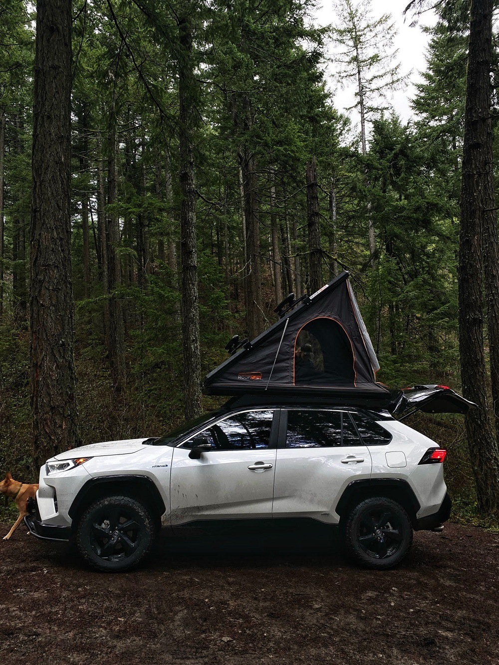 prinsu rack rav4