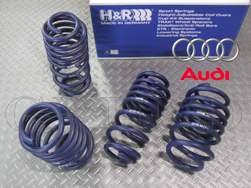 H&R ダウンサス 29100-1【H&R Sport Springs】 H&R スポーツスプリング 