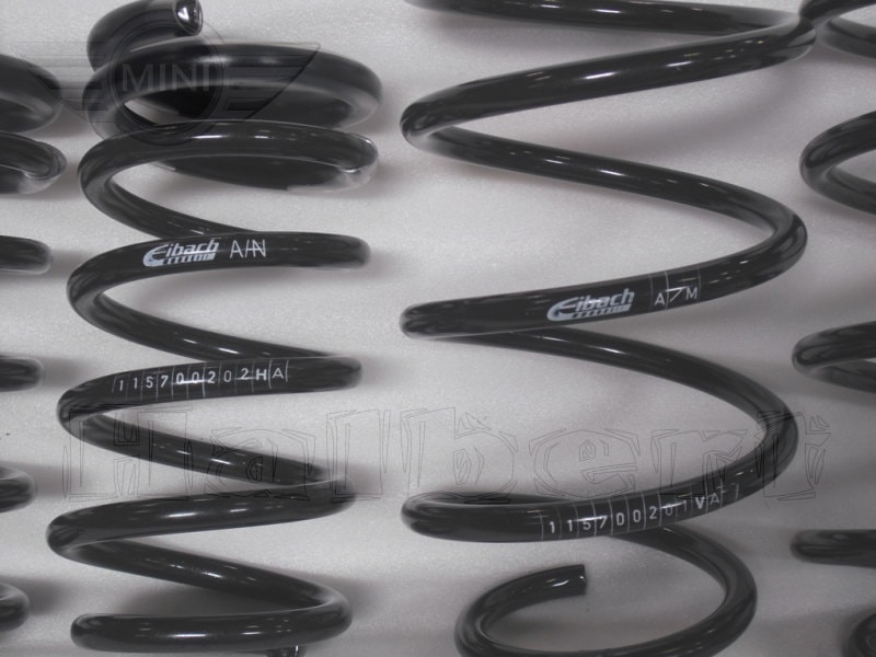 アイバッハ ダウンサス 10-57-002-02-22【正規輸入品】Eibach