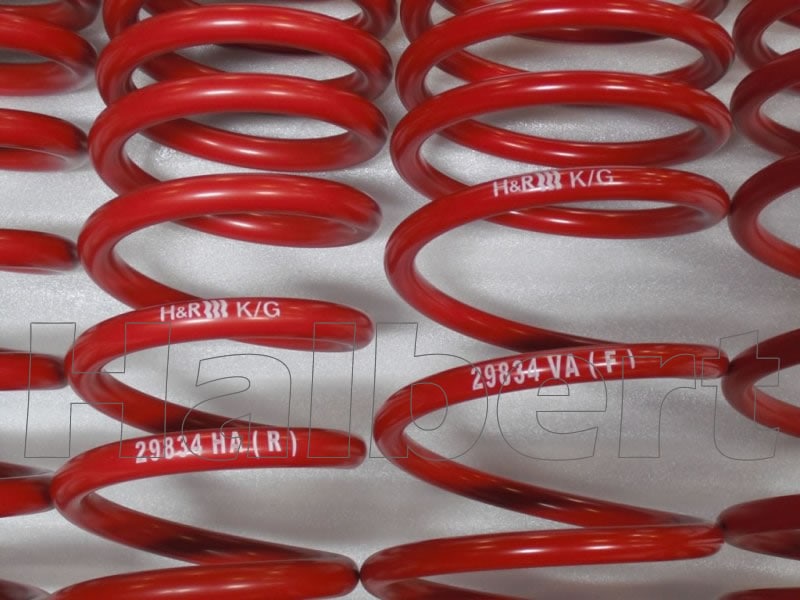 H&R ダウンサス 29834-1【H&R Sport Springs】 スポーツ