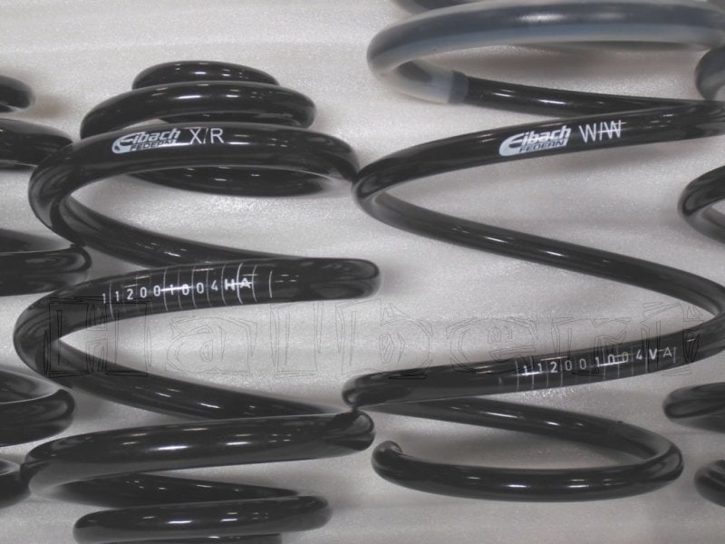 アイバッハ ダウンサス 10-20-010-04-22【正規輸入品】Eibach