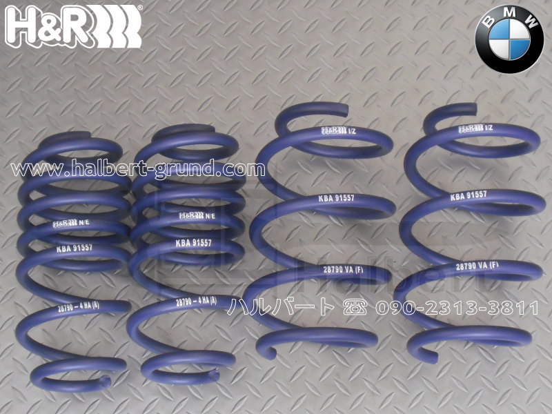 H&Rスポーツスプリング　ダウンサス H&R ダウンサス 28790-6【H&R Sport Springs】スポーツ