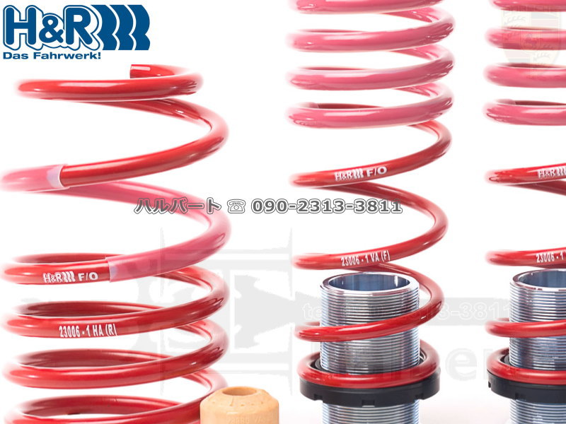 H&R アジャストスプリング 23006-1【H&R Height adjustable