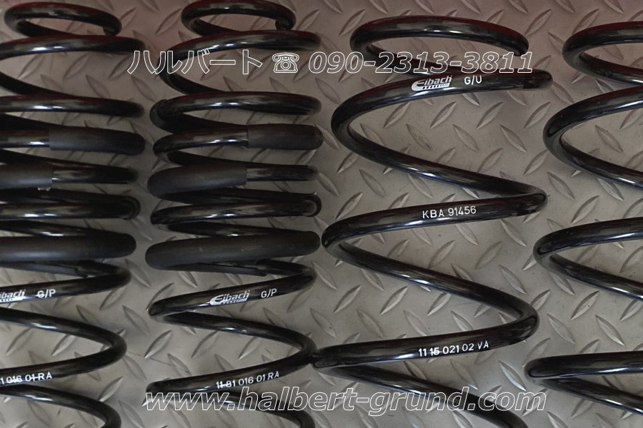 アイバッハ ダウンサス 10-81-016-03-22【正規輸入品】Eibach