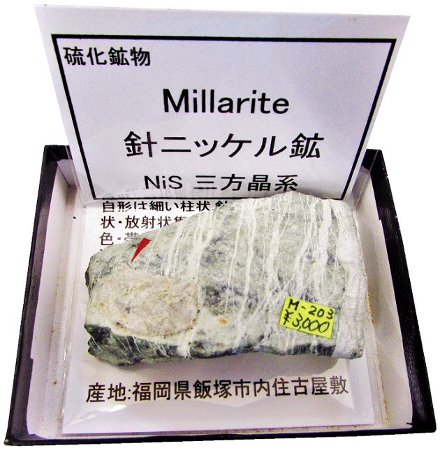 M-203 針ニッケル鉱(Millarite) | 硫化鉱物,西日本,九州地方
