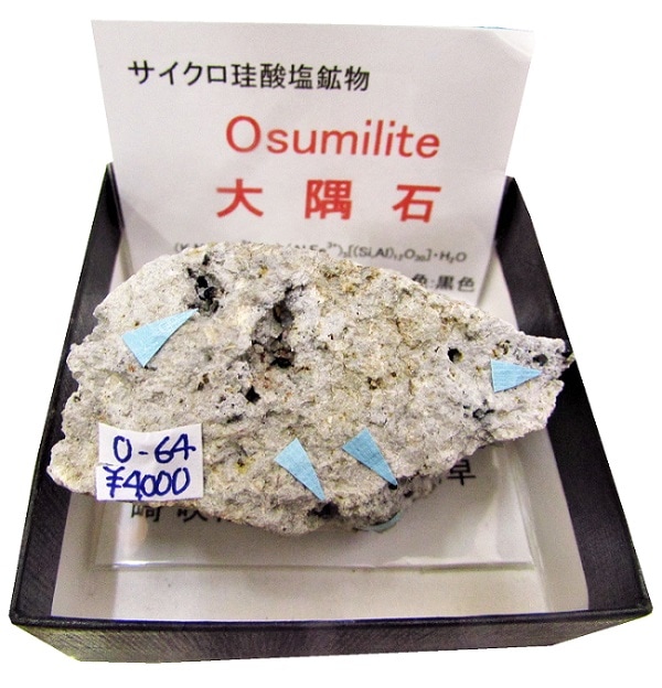 ミカモ石 みかも石 特大 推定200kg 有り難く 