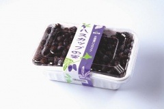 ハスカップ(冷凍果実) 優品1㌔ hokkaido-shinhakken_reitou01