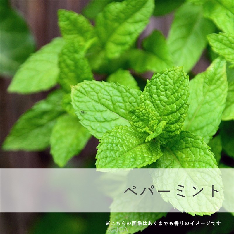 NO.55】ボタニカルキャンドル エレクトリクリ 効能バッチリな精油 