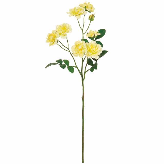 HANA ROSE 当選品 自立花ローズ 3本セット/白/LMSサイズ | KOTO-HANA