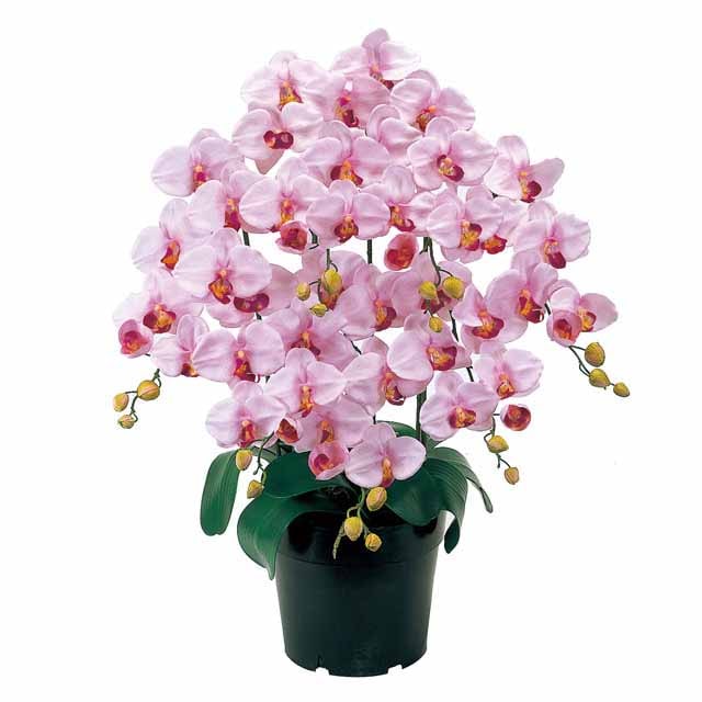 光触媒 人工観葉植物 フェイクグリーン 胡蝶蘭 ピュアオーキッド2本立