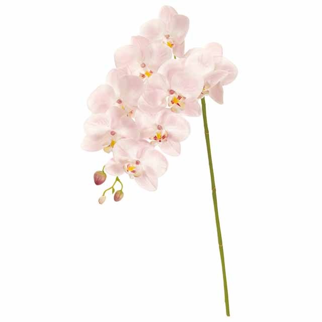 モビール 花　創花 display 事務所のディスプレイに