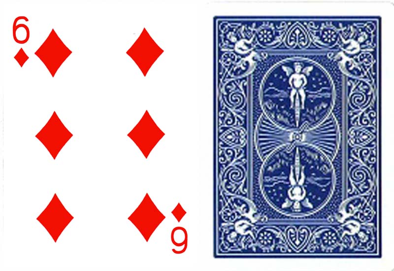 ダイヤ6（ワンウェイ・フォーシングデック）青裏 Bicycle One