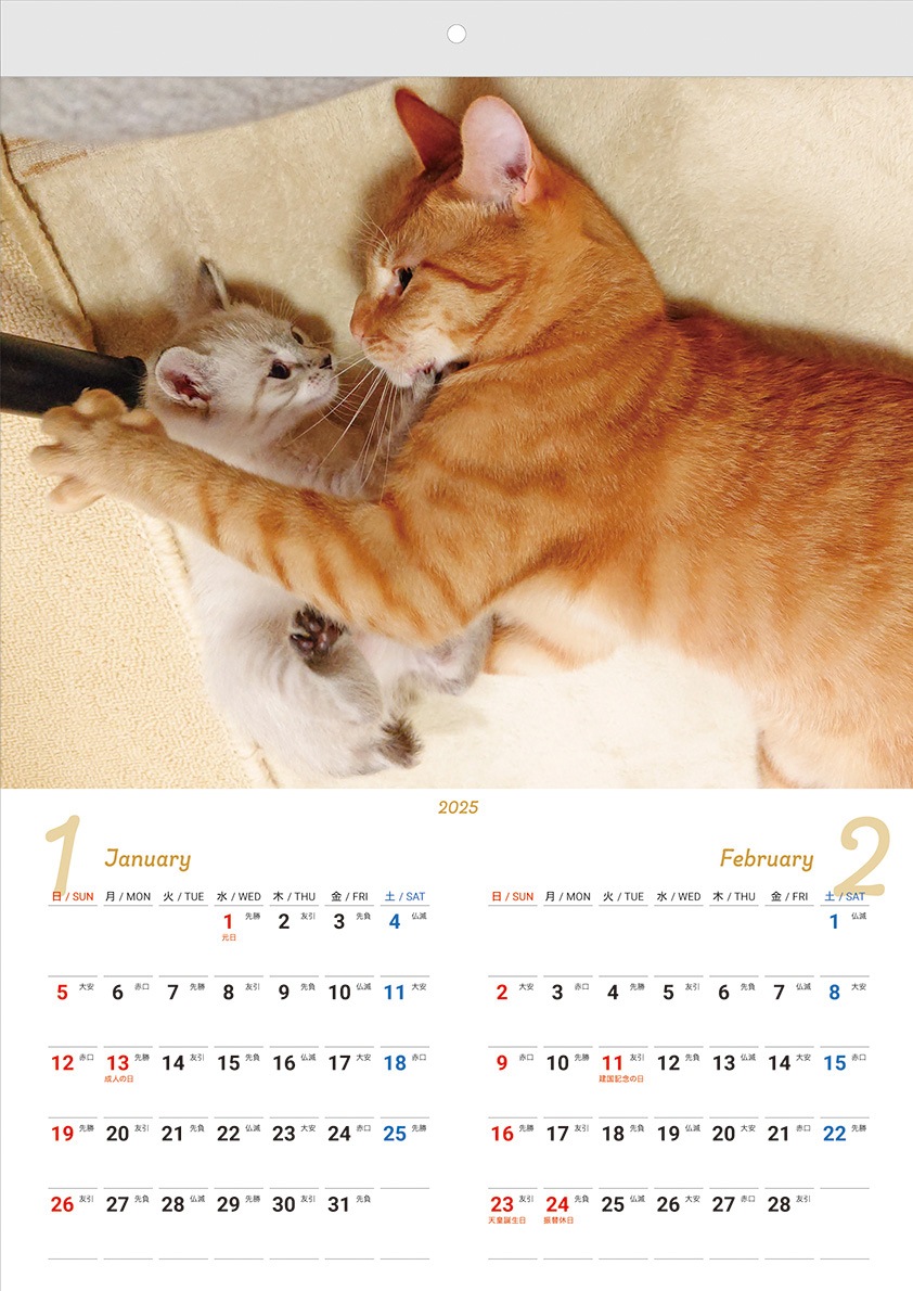 2025】 猫部屋オリジナル壁掛け2ヶ月カレンダー|おしゃれで人気の猫 
