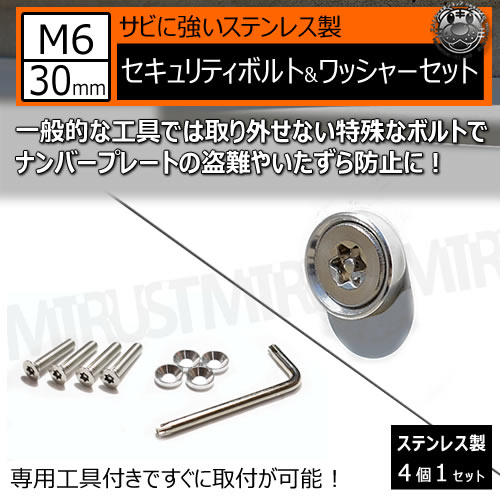 【取引専用ページ】お前がナンバーワンだ様 ステンレス製 セキュリティーボルト ワッシャー M6 30mm 4個