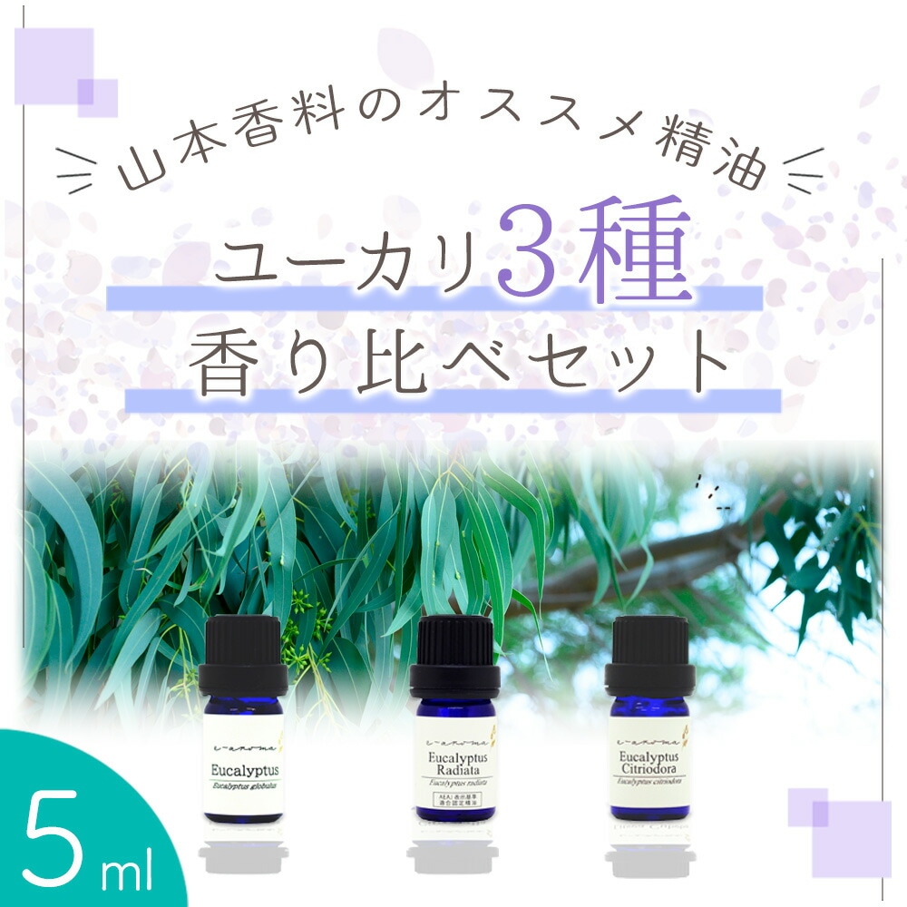トモ様　PRANAROM ユーカリグロブルス他　合計5点　精油　プラナロム ユーカリ・グロブルス – プラナロム エッセンシャルオイル・精油