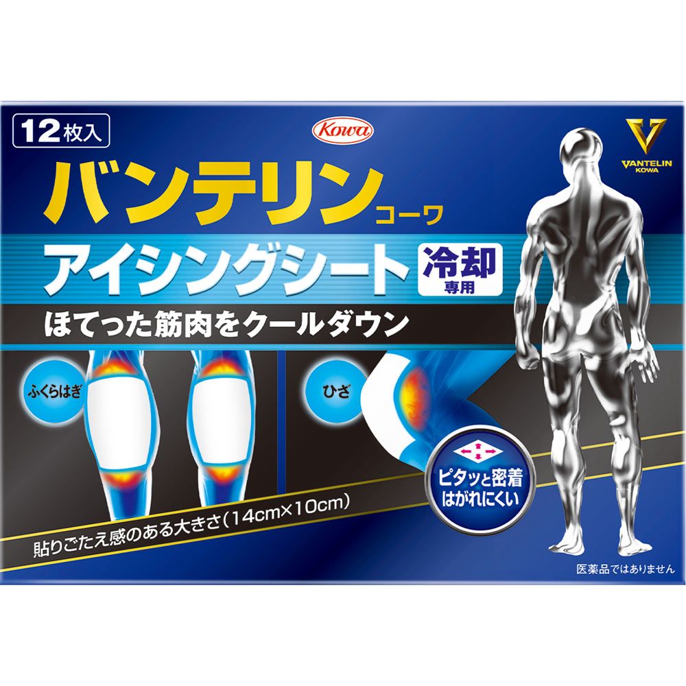 アイシングシートＮ　５枚×５０袋　医薬品ではありません　冷却シート　湿布 アイシングシートN 5袋 湿布 医薬部外品 冷却シート レター