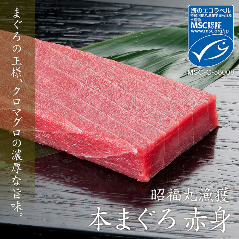 魚標本　　木更津沖　昭和53年 魚標本 木更津沖 昭和53年 魚標本 木更津沖 昭和53年 （詳細検索 –