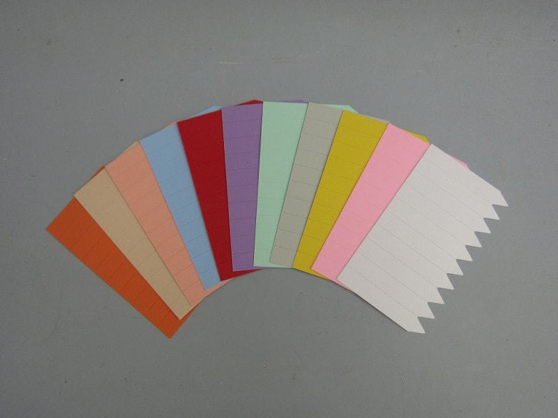 BARON様 ラインラベル BARON様 ラインラベル Baron | Zeque (ゼクー)