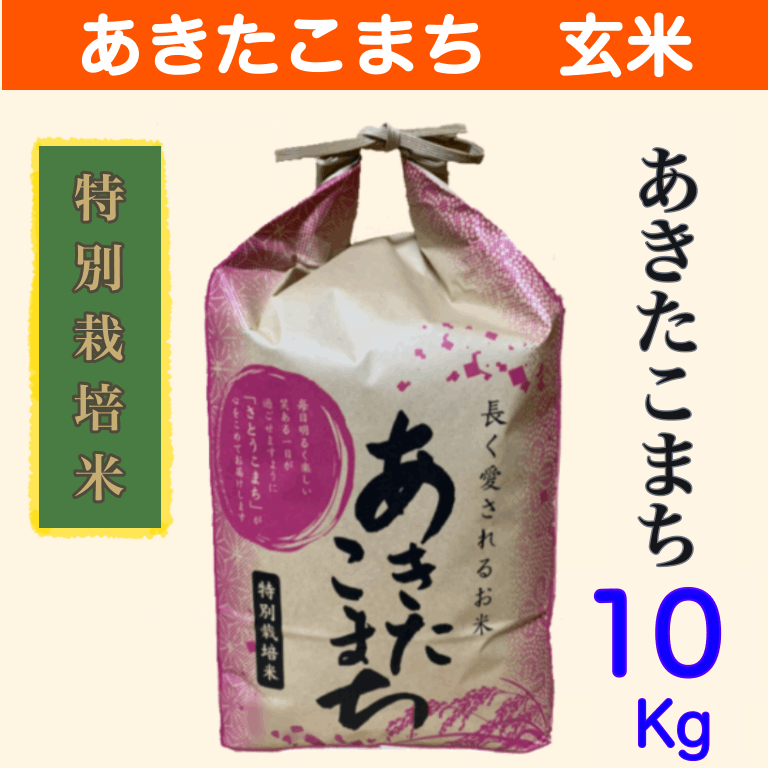 【Kururi】令和6年産　秋田県産あきたこまち　玄米60キロ Kururi様 専用】令和6年産 秋田県産あきたこまち 玄米60キロ