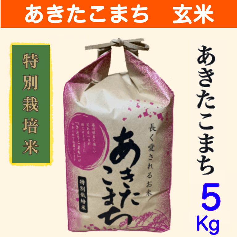 令和6年産 新米 あきたこまち玄米（5キロ）【送料無料】 | 玄米 | | さとう