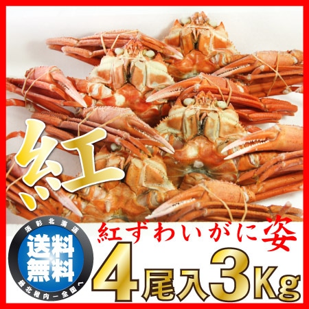 北海道産 食べ放題 訳あり 2Lサイズ紅ズワイガニ脚5.0kg 大容量 5キロ